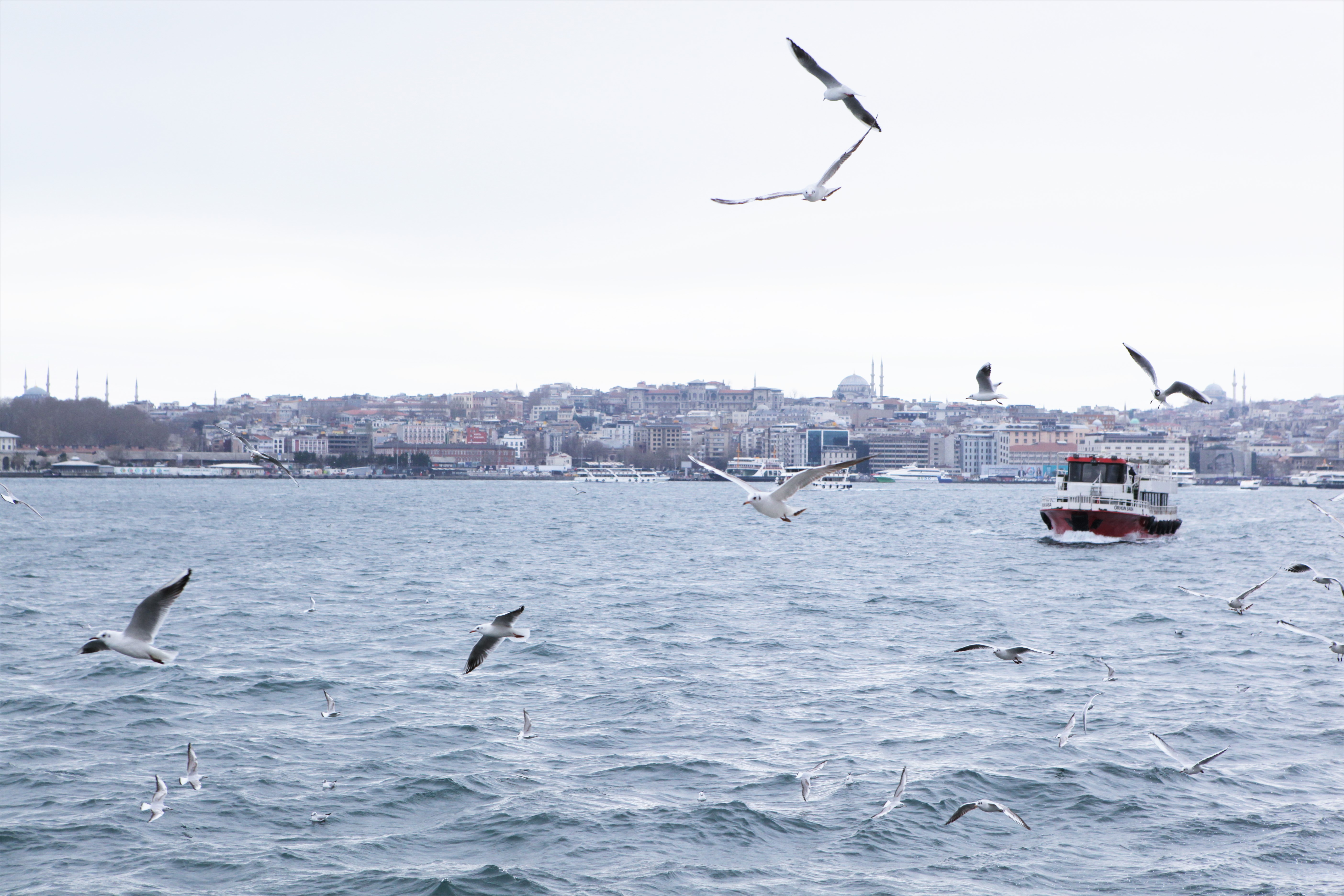 istanbul çocuk yaz tatili