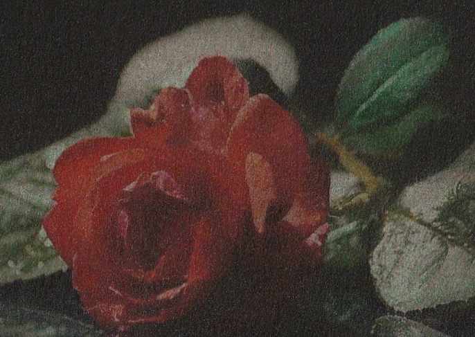 Beyoğlu’nda Sanat Gündemi – Temmuz