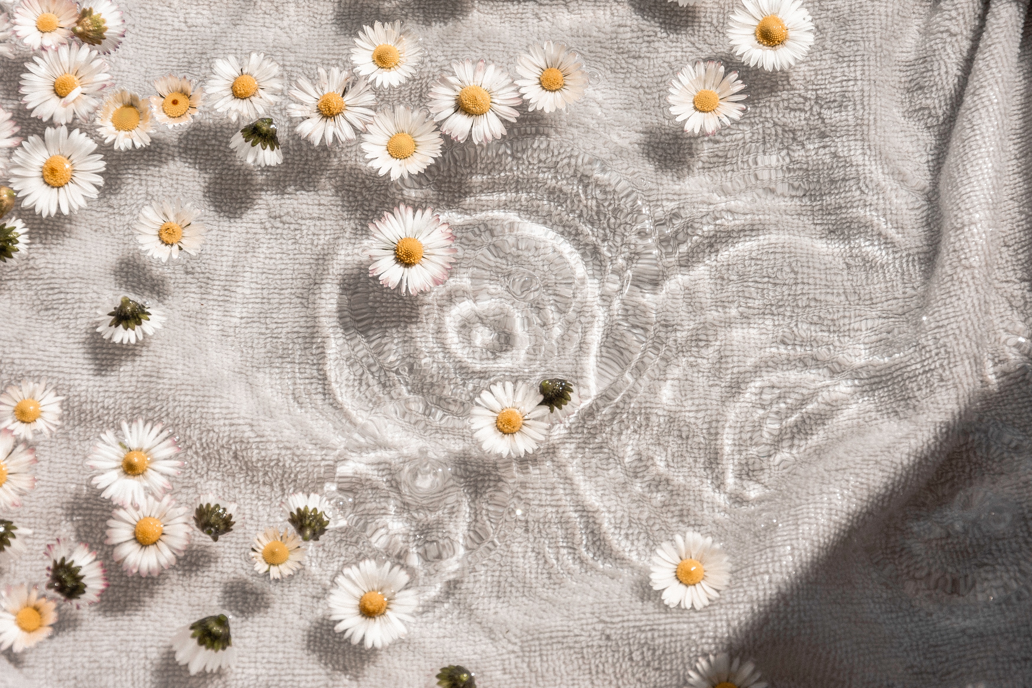camille-brodard-AVi4lkHl5L4-unsplash