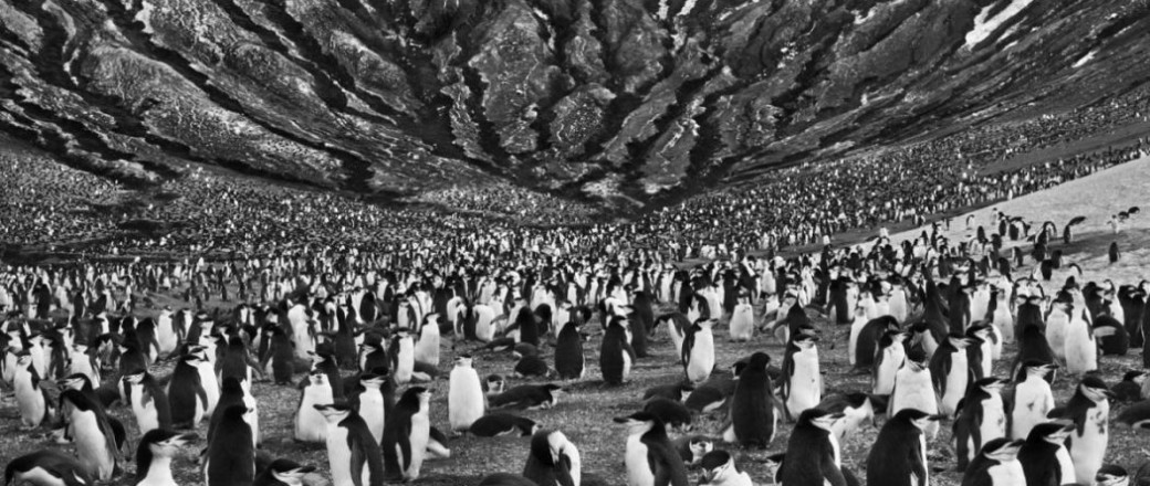 İstanbul'un kültür ve sanat merkezlerinden Beyoğlu, Ekim 2024'te sanatseverleri dopdolu etkinliklerle buluşturuyor. Özellikle İstanbul Kültür Yolu Festivali kapsamında gerçekleşen sergiler, Galataport İstanbul’dan yakın çevreye uzanan bir rotada sanatseverleri bekliyor.   Ekim ayının sanat gündemi rotasının başrolünde İstanbul Kültür Yolu festivali var. Galataport İstanbul’a geldiğinizde hem buradaki hem de yakın çevredeki sergileri gezmeniz için rota önerisini yazının devamında inceleyebilirsiniz.  Banner