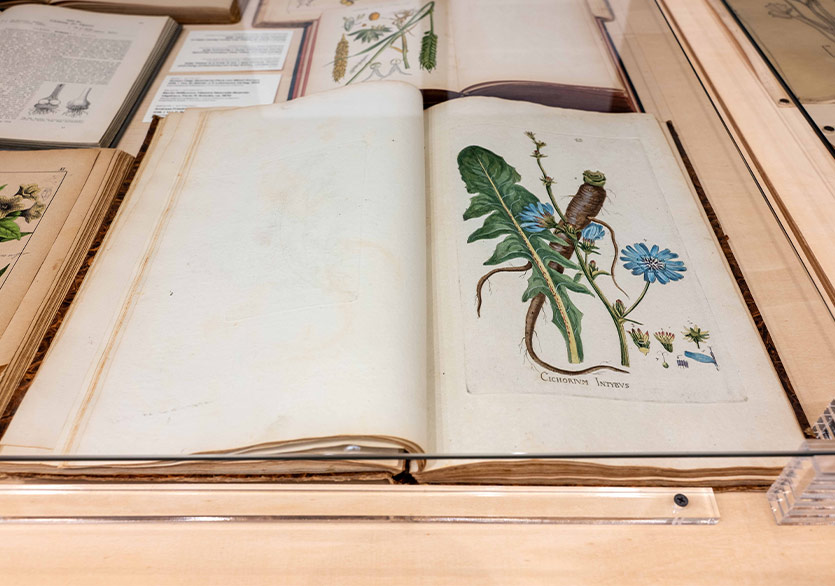 Anadolu’nun Bitki Mirası-2