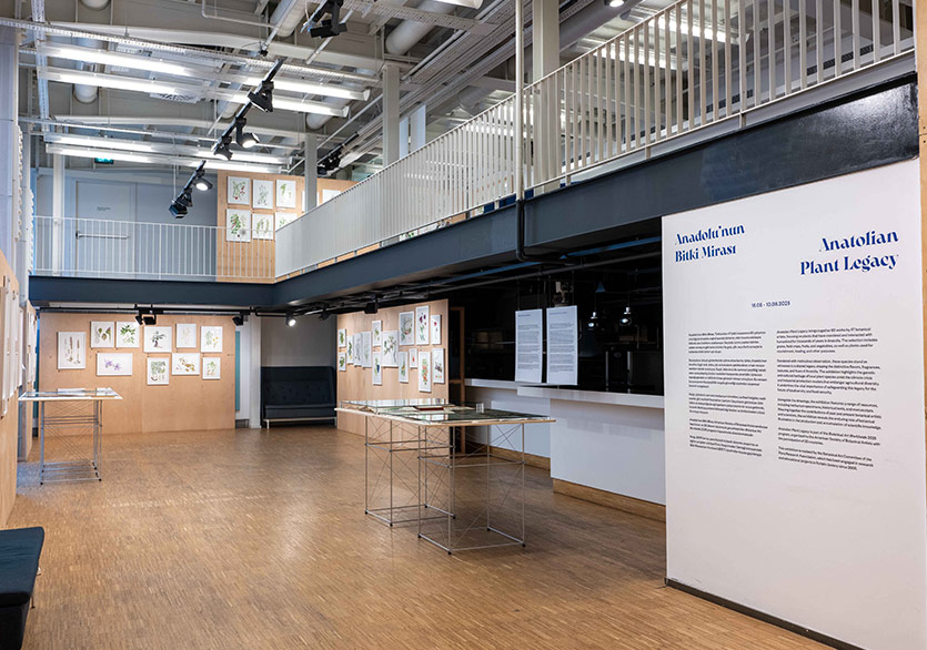 Anadolu’nun Bitki Mirası-3